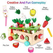 Toddlers Montessori Wooden Educational Toys for Boys Girls Age 1-3 Year Old | Shape Sorting Toys 1st One First Birthday Girl Gifts for Baby Kids 1 2 3, Wood Preschool Learning Fine Motor Skills Game